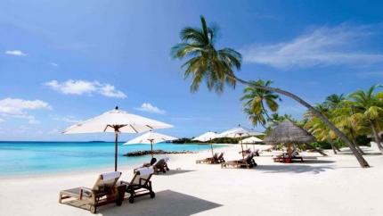 Bãi Dài Chinh Phục Bạn Với Vẻ Đẹp Hoang Sơ, Tươi Mát