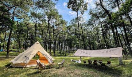 Top 10 Địa Điểm Cắm Trại Gần Sài Gòn Lý Tưởng Cho Cuối Tuần