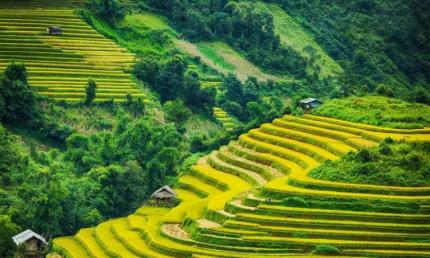 Thăm Thung Lũng Mường Hoa Với Vẻ Đẹp Mộng Mơ, Kỳ Bí