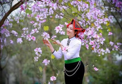 Du Lịch Điện Biên Mùa Hoa Ban - Đắm Chìm Hương Thơm Tây Bắc