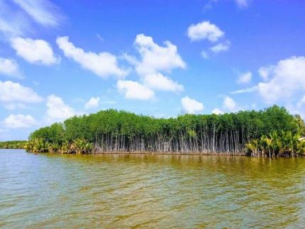 Đầm Thị Tường: Mang Tới Cho Du Khách Trải Nghiệm Đầy Thú Vị