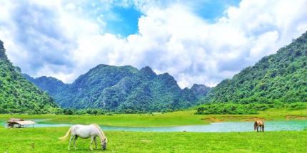 Thảo Nguyên Đồng Lâm - Thiên Đường Xanh Giữa Lòng Lạng Sơn