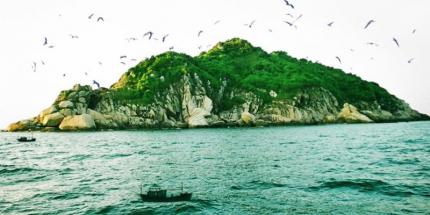 Vũng Chùa Đảo Yến - Điểm Tựa Linh Thiên Giữa Thiên Nhiên
