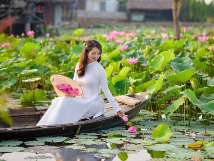 Đồng Sen Tháp Mười - Khám Phá Cảnh Sắc Đồng Nội Đẹp Tuyệt