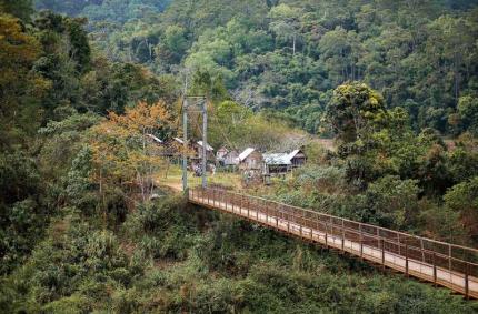 Du Lịch Măng Đen Tự Túc: Chi Tiết Cho Hành Trình Trọn Vẹn