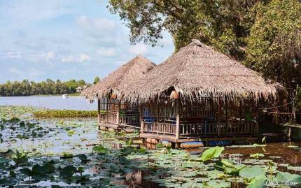 Du Lịch Mùa Nước Nổi Đồng Tháp Với Vùng Đất Sen Hồng