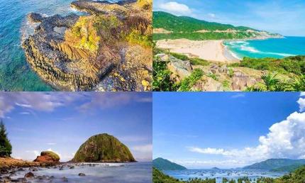 Đi Du Lịch Phú Yên Mùa Nào Đẹp Nhất Để Ngắm Hoa Vàng Cỏ Xanh