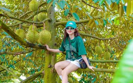 Du Lịch Vườn Trái Cây Tiền Giang: Top 6 Thiên Đường Cây Trái