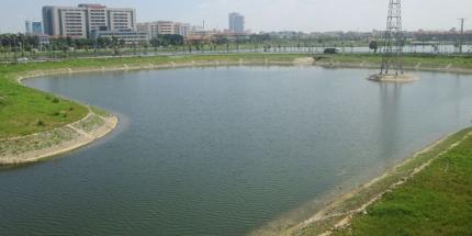 Hồ Điều Hòa Văn Miếu: Điểm Xanh Văn Hóa Giữa Lòng Bắc Ninh