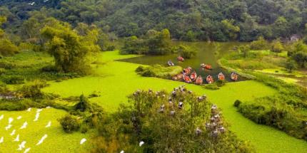 Thung Nham Vườn Chim - Chạm Tay Vào Thiên Nhiên Hoang Sơ