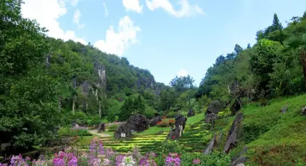 Núi Hàm Rồng - Khám Phá Thiên Đường Trên Mây Tại Sapa