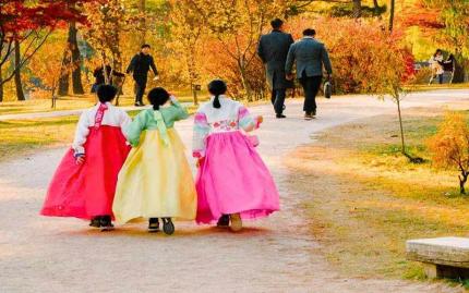 Kinh Nghiệm Du Lịch Hàn Quốc: Bí Kíp Khám Phá Xứ Sở Kim Chi