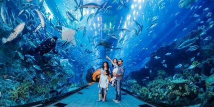 Viện Hải Dương Học Nha Trang: Khám Phá Sinh Vật Biển Đa Dạng