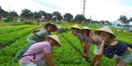 Làng Rau Trà Quế: Không Gian Xanh Mát Giữa Lòng Hội An