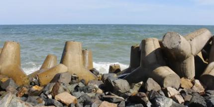 Bãi Đá Ông Địa Có Gì Chơi? Gợi Ý Hoạt Động Thú Vị Nhất