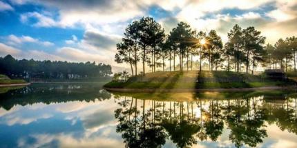 Rừng Thông Bản Áng - Đà Lạt Thu Nhỏ Giữa Núi Rừng Tây Bắc