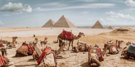 Dịch Vụ Làm Visa Ai Cập Trọn Gói, Uy Tín Trên Toàn Quốc