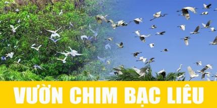 Vườn Chim Bạc Liêu - Nơi Cư Ngụ Của Hàng Trăm Loài Chim Quý